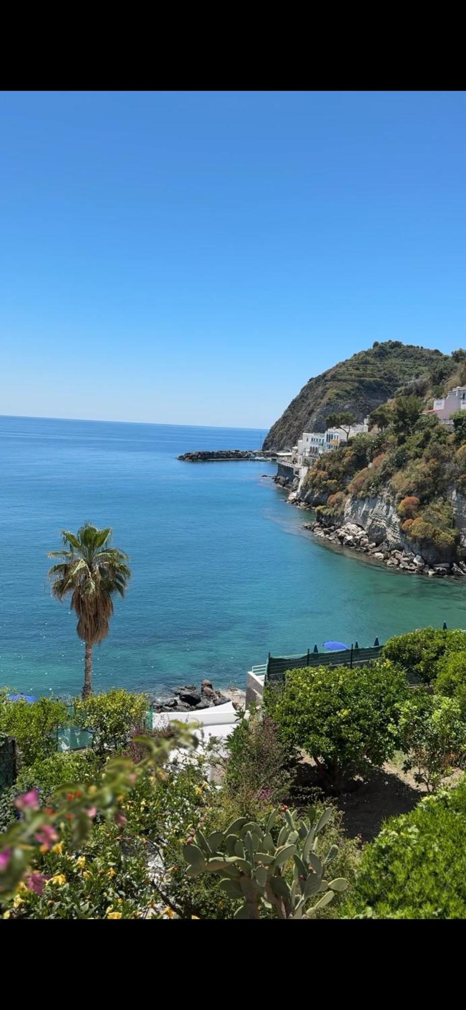 Hotel Casa Rosa Sea & Spa Sant'Angelo  外观 照片