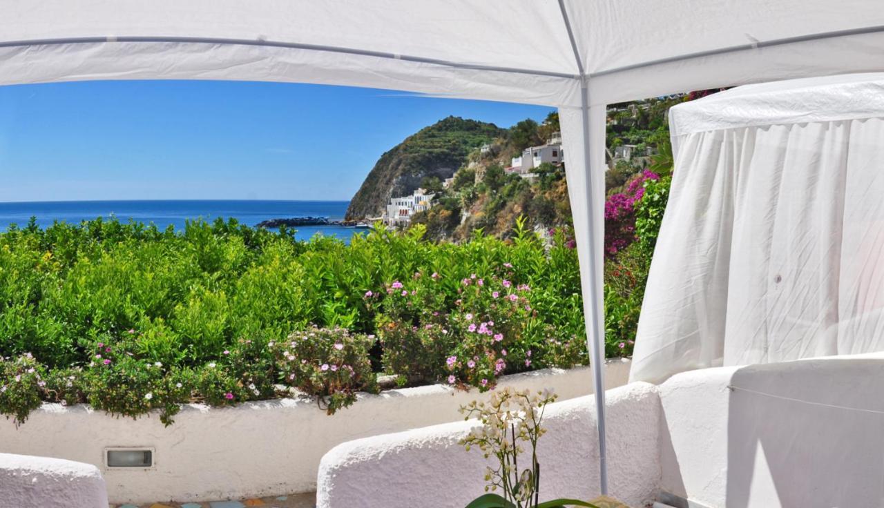 Hotel Casa Rosa Sea & Spa Sant'Angelo  外观 照片