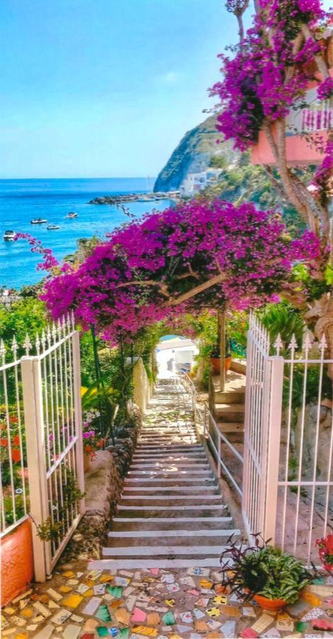 Hotel Casa Rosa Sea & Spa Sant'Angelo  外观 照片